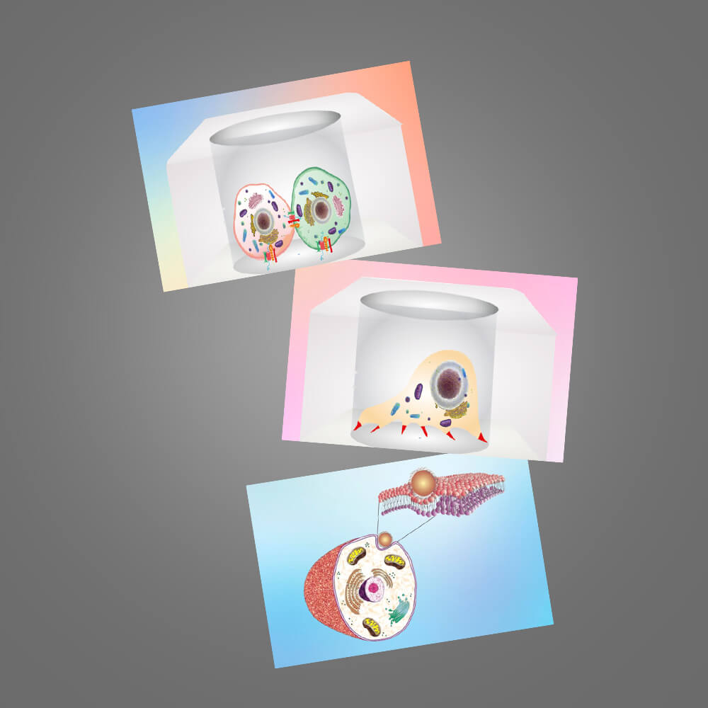 Scientific Illustrations